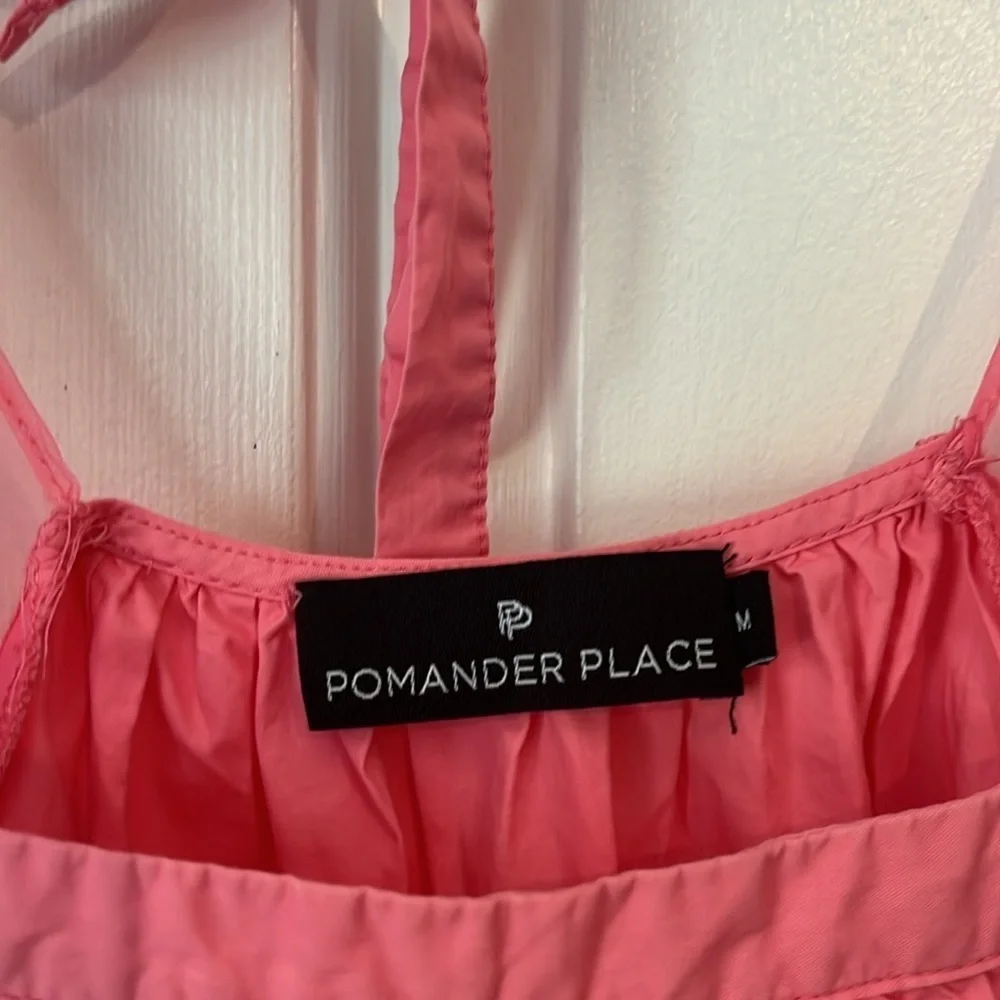 Tuckernuck X Pomander Place | Pink Tinsley Sheer‎ Puff Sleeve Top Size Medium